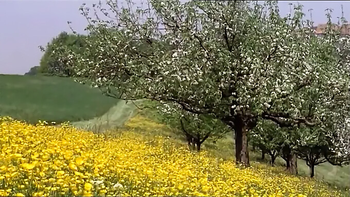 复古1977年电影:年轻女性探索她们的性感