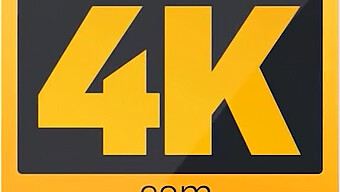 एक पर्व के लिए पैसे की तलाश में जंगली 4k सेक्स सीन।