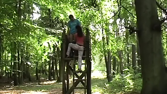 Jogger Girl Gets Rough Anal In The Great Outdoors